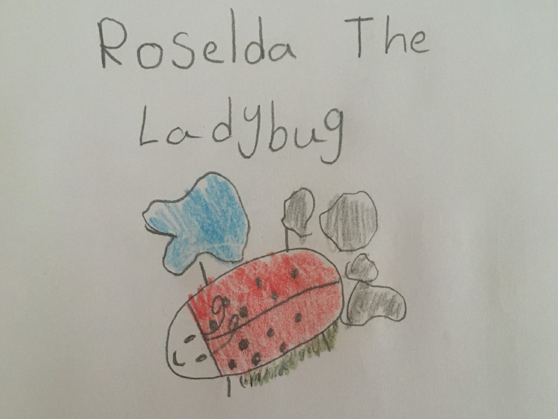 Roselda the Ladybug by Stella K.