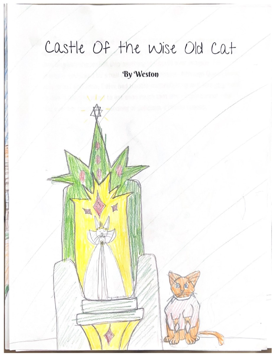 Castle of the Wise Old Cat by Weston B.
