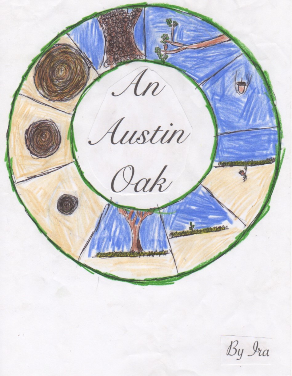 An Austin Oak by Ira C.