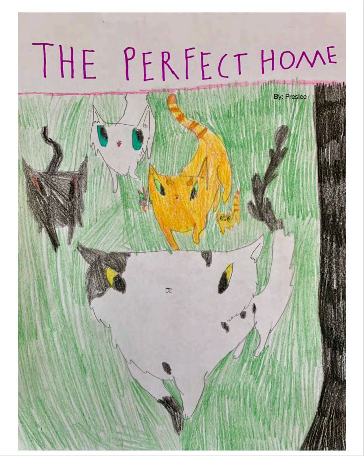 The Perfect Home by Preslee W.