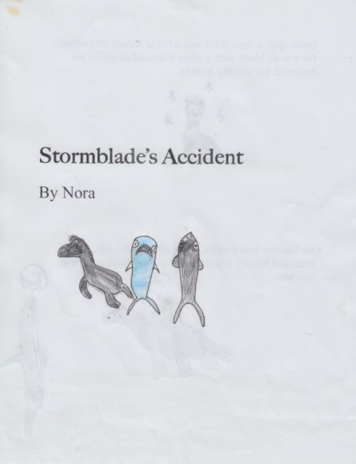 Stormblade’s Accident by Nora C.