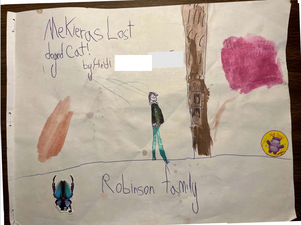 Mekiera’s Lost Dog and Cat! by Heidi C.