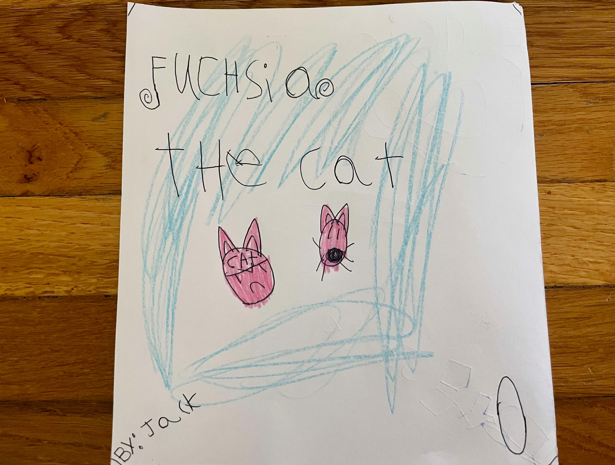 Fuchsia the Cat by Jack R.