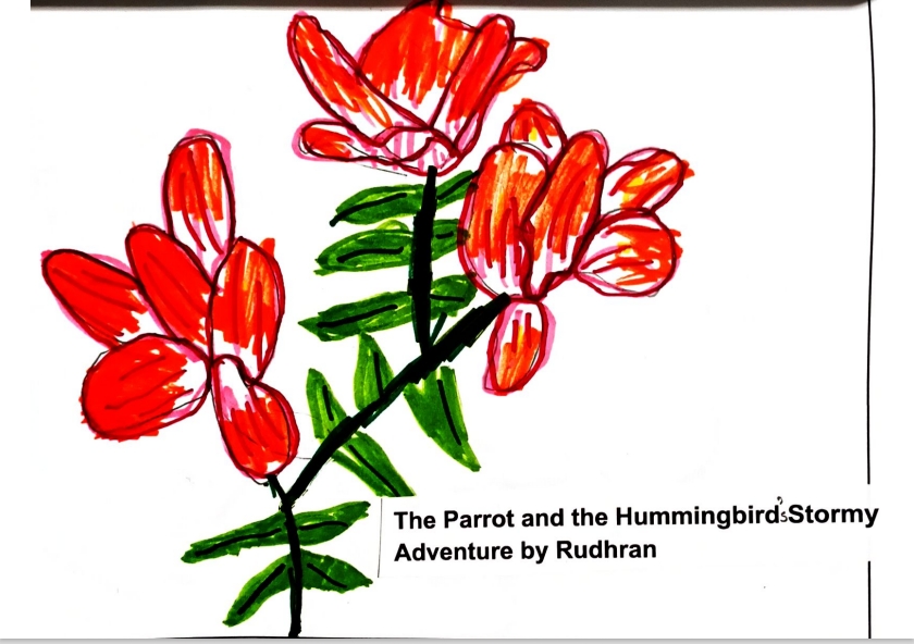 The Parrot and the Hummingbird’s Stormy Adventure by Rudhran V.