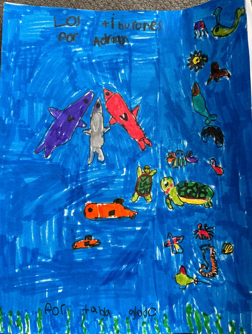 Los tiburones by Adrian MG.