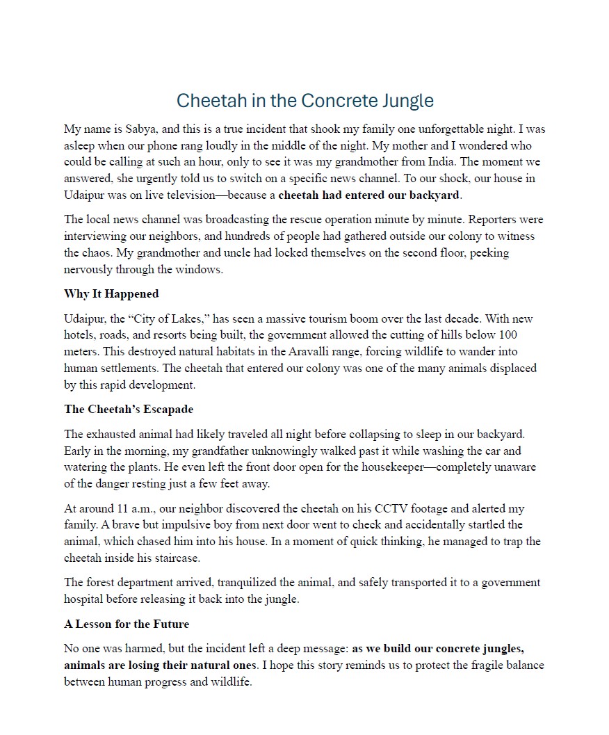 Cheetah In the Concrete Jungle by Sabyasachi S.