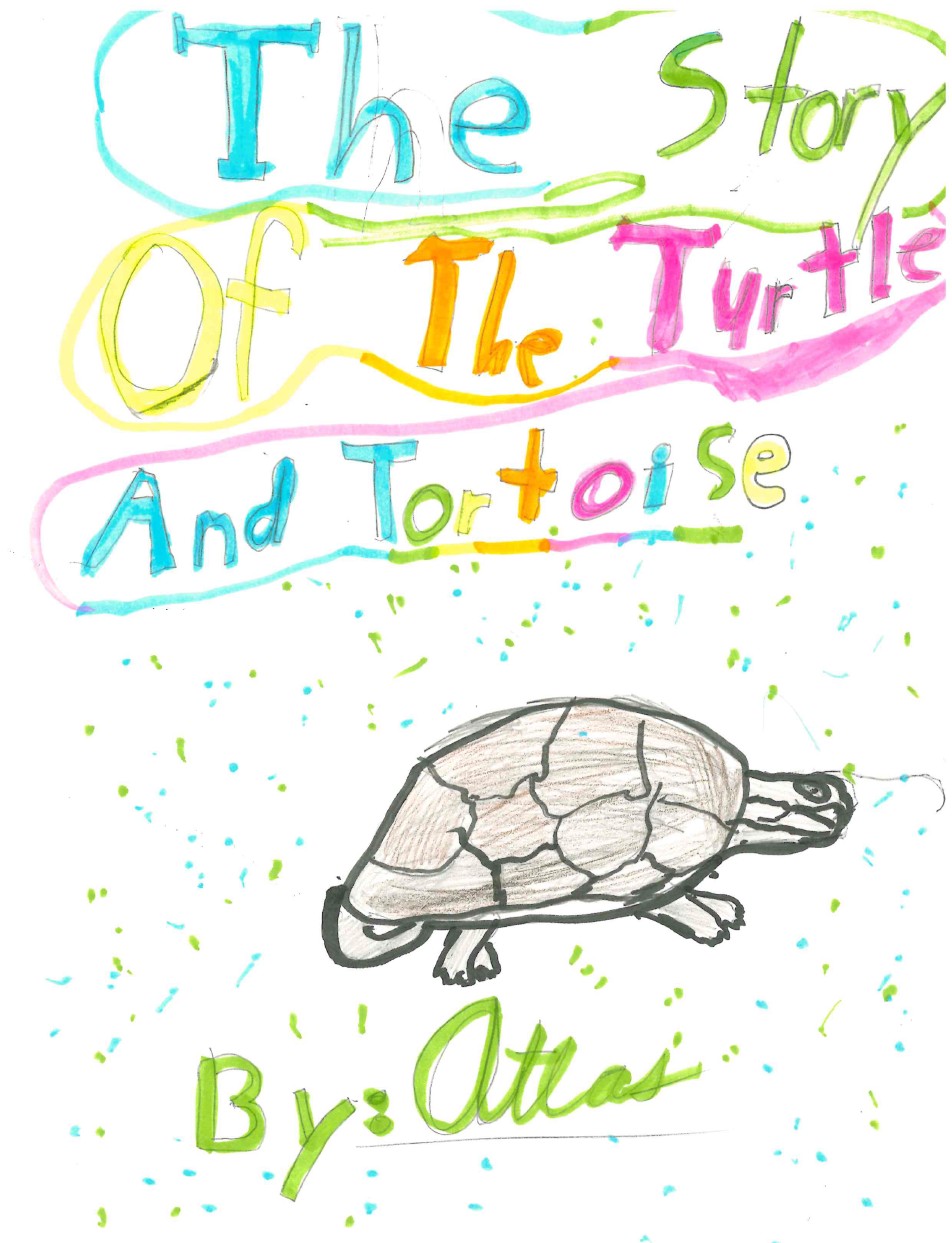 The Story Of The Turtle And Tortoise by Atlas E.