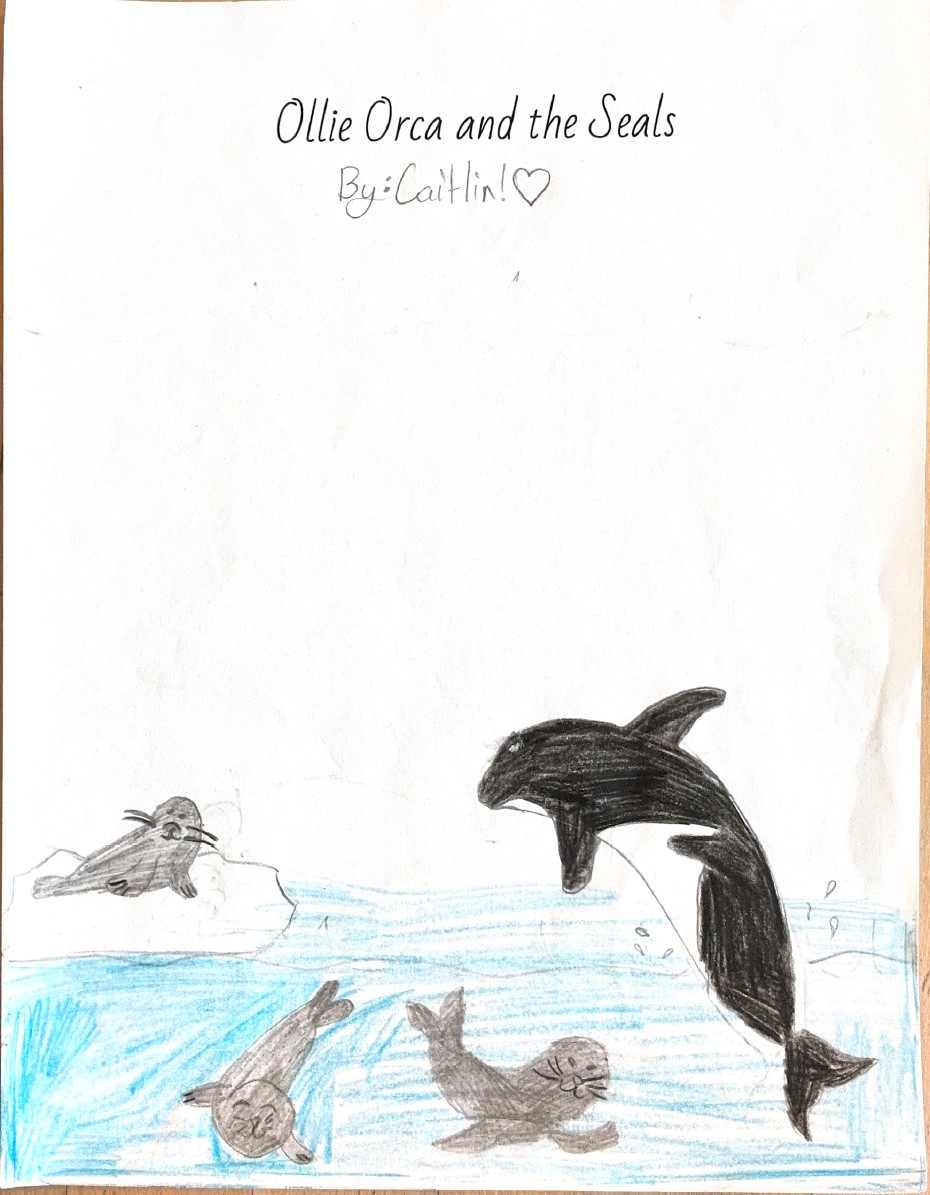 Ollie Orca and the Seals by Caitlin M.