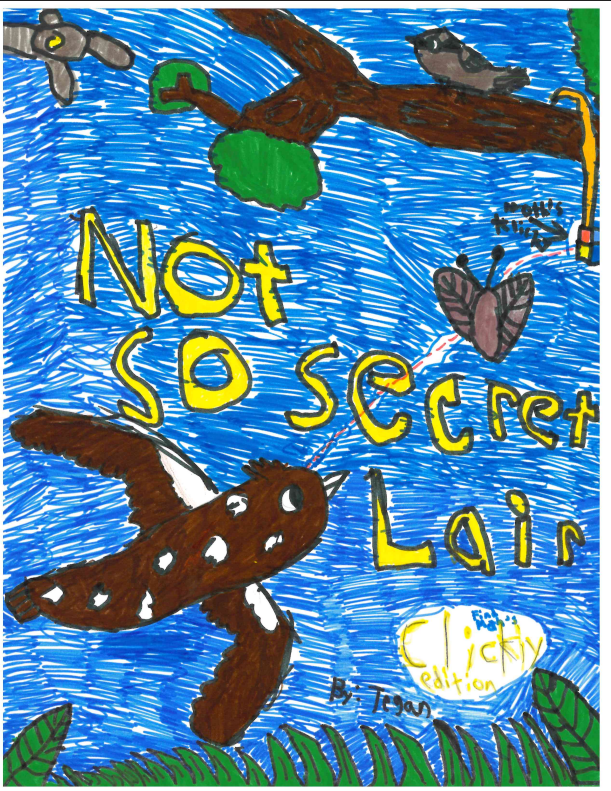 The Not So Secret Lair by Tegan D.