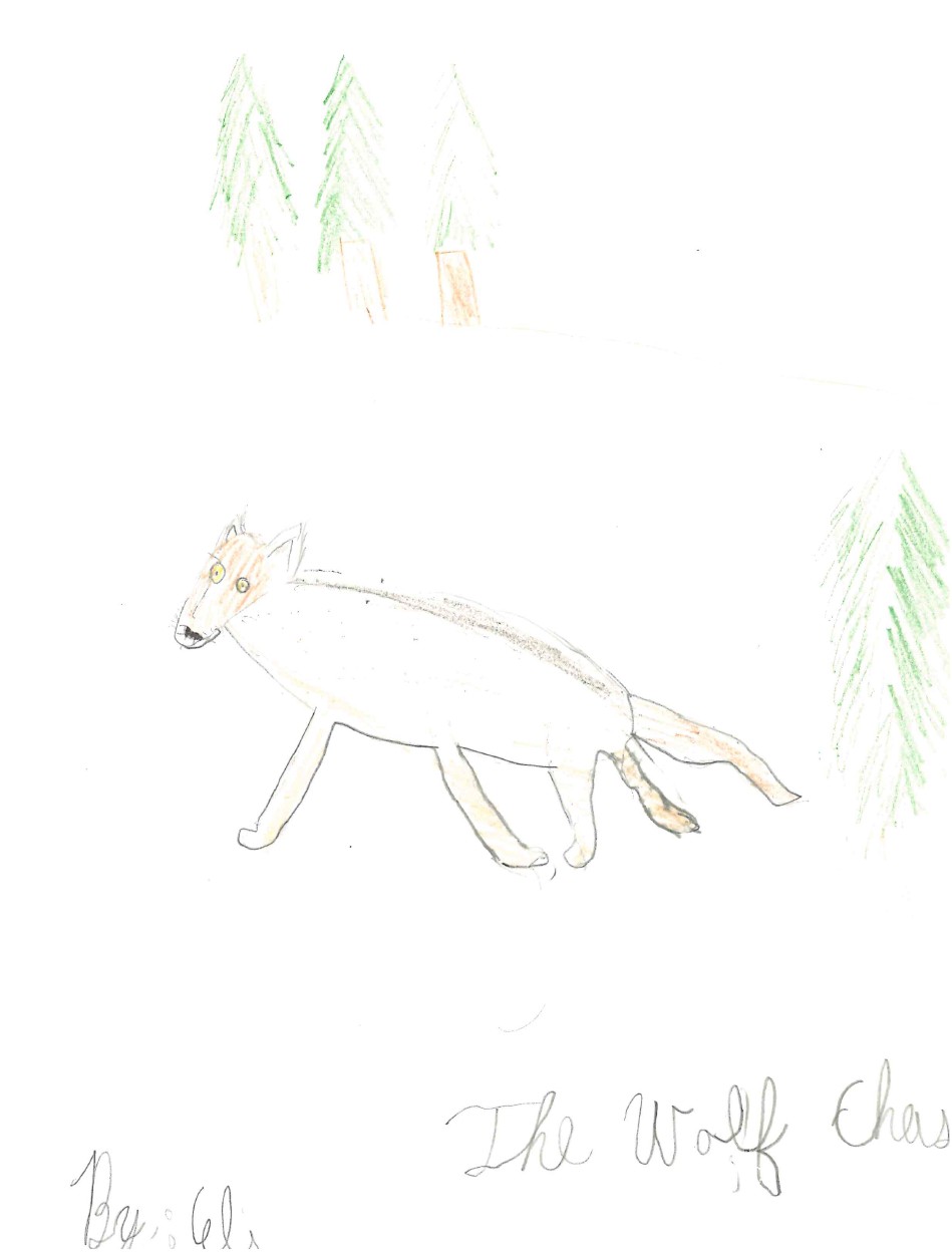 The Wolf Chase by Eli B.