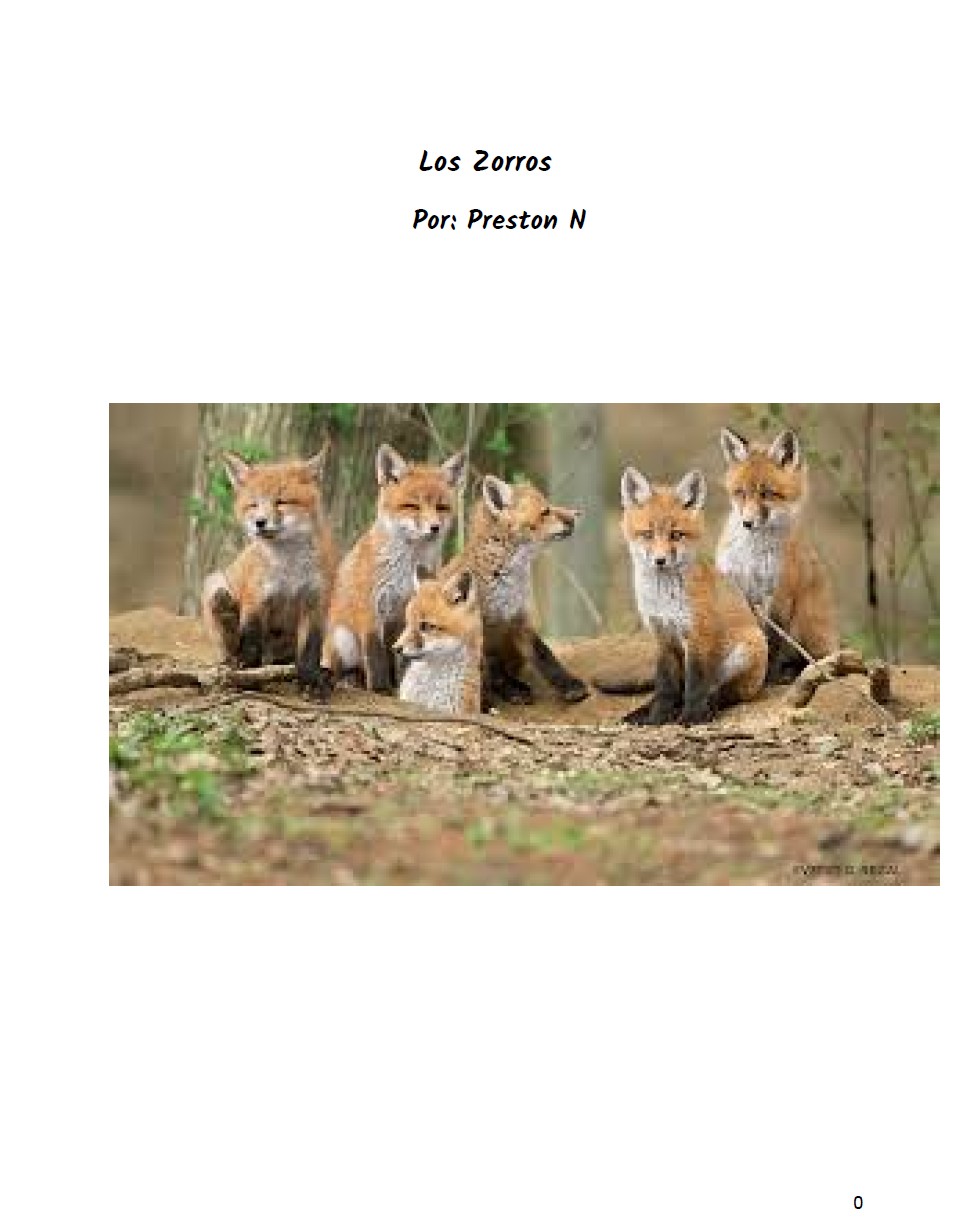 Los Zorros by Preston N.