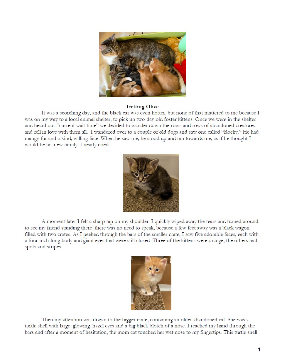 GETTING OLIVE by Vivian V.