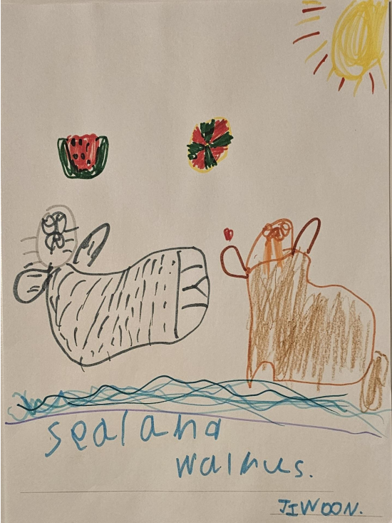 Seal and Walrus by Jiwoon P.